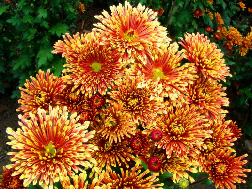 590611 (a): :1600x1200